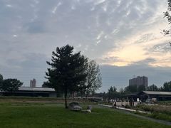 -汉长安城未央宫国家考古遗址公园