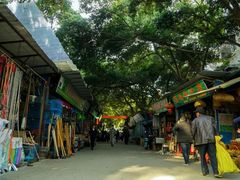 -桂林市花鸟市场