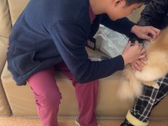 -宠颐生中康贝怡动物医院