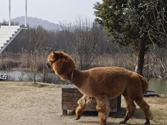 -天目湖涵田度假村