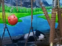 -柳州市动物园