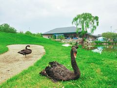 -万柳高尔夫俱乐部