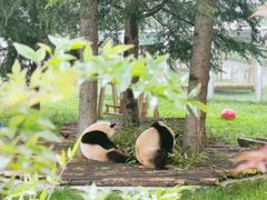 -西安秦岭野生动物园