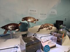 -中国湿地博物馆
