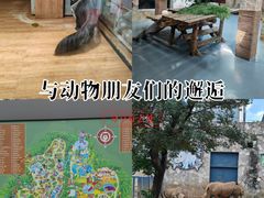 -无锡动物园·太湖欢乐园