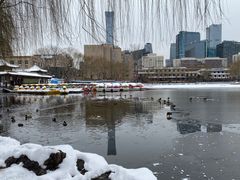 -团结湖公园