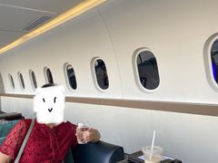 -法兰度航空主题餐厅(河源店)