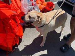 -安吉龙王山峡谷漂流