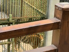 -合肥野生动物园