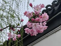 -莫愁湖公园