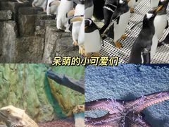 -成都浩海立方海洋公园