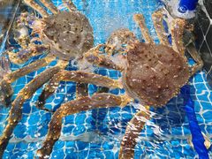 -巧克力渔家.小船海鲜胶东菜(万平口店)