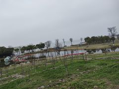 -滆湖低碳生态公园