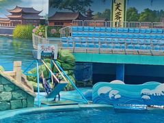 -海合安成都极地海洋公园