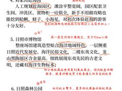 -日照海滨国家森林公园