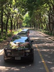 点击看大图 -蚂蚁婚车