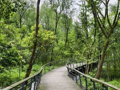 -西湖风景区-江洋畈生态公园