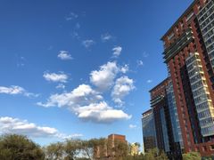 -中国宋庆龄青少年科技文化交流中心