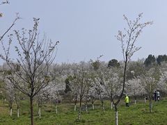 -宜兴龙背山森林公园