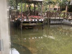 -天怡·鱼工厂(梅溪湖店)