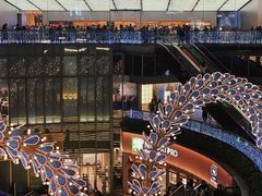 -Apple零售店(天环广场店)