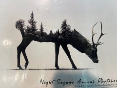 -清迈夜间动物园