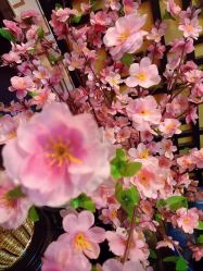 点击看大图 -苗医生草本科技祛痘
