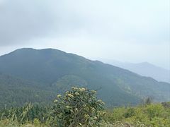 -武陵山森林公园