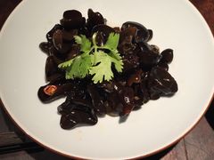 爽口木耳-绿茶餐厅(昌平悦荟店)