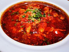 -红樱桃·新派辽菜(北行店)