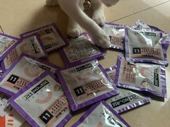 -爱侣宠医·鹦鹉专科·小型哺乳类·异宠专科(灵石路店)