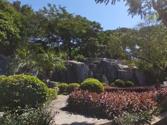 -紫马岭公园
