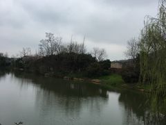 -桃花岛景观公园