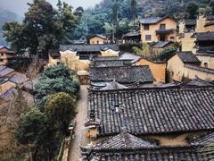 -杨家堂村