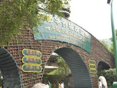 -东部华侨城