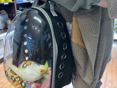 -萌兽医馆·眼科·异宠专科(三里屯店)