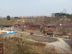 -绵阳盛世樱花悠乐谷