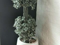 -必胜客(萍乡润达店PH店)