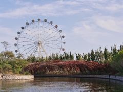 -渔岛海洋度假区