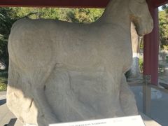 -茂陵博物馆