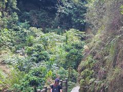 -雁荡山风景名胜区