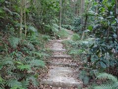 -广州市帽峰山景区