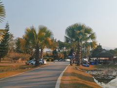 -中国科学院西双版纳热带植物园