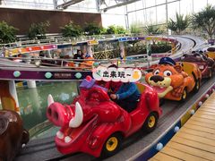 -南宫五洲植物乐园