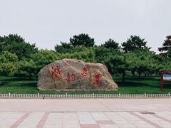 -塘沽森林公园