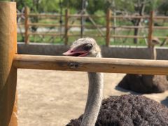 -武清南湖绿博园