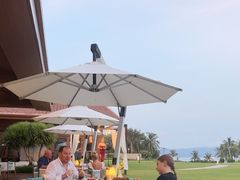 -宴悦海鲜餐厅·游水海鲜·牛排(亚龙湾瑞吉店)