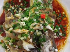 -全乐鱼馆·淳牌有机鱼直营店