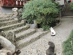 -莲湖公园