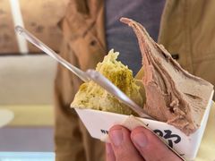 -野人先生现做冰淇淋(北京王府井东方新天地店)